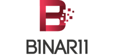 Binarii